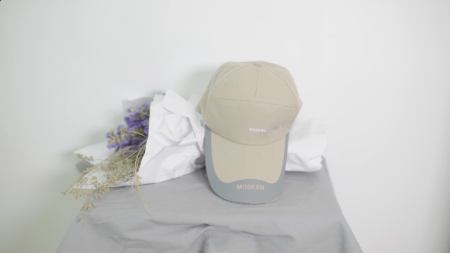 通关高峰+雷雨大风，港珠澳大桥珠海公路口岸发布通关提示