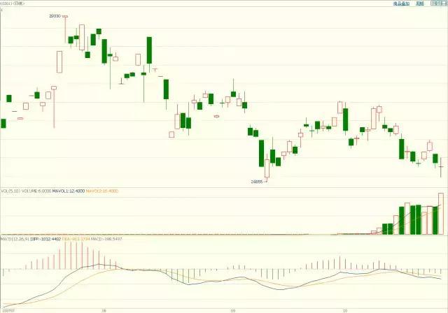中巴深化港口互联互通，珠海高栏港经验获拉美关注