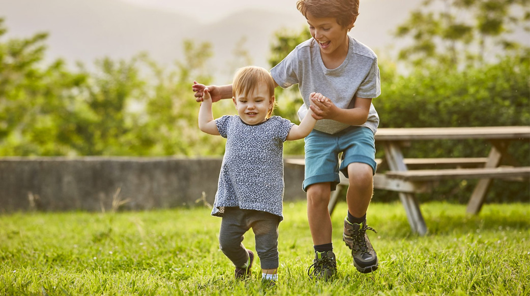 湛江镇签约总投资2.4亿元设施农业项目